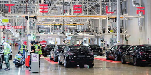 上海特斯拉超級工廠再創歷史紀錄 6月國內銷售激增138%，林業產品銷售亮點紛呈